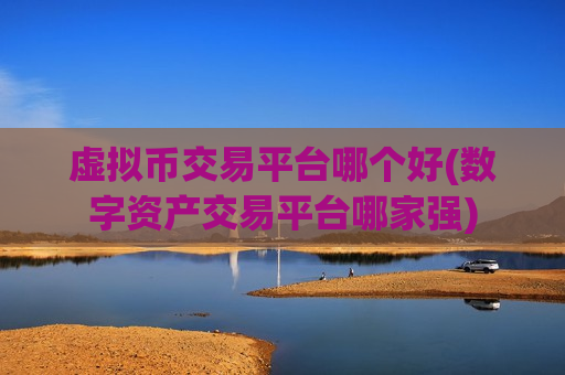 虚拟币交易平台哪个好(数字资产交易平台哪家强)