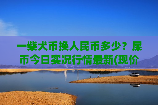 一柴犬币换人民币多少？屎币今日实况行情最新(现价0.00018745元)