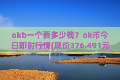 okb一个要多少钱？ok币今日即时行情(现价376.491元)