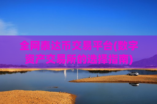 全网泰达币交易平台(数字资产交易所的选择指南)