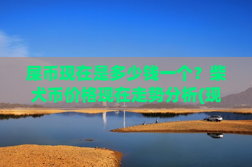 屎币现在是多少钱一个？柴犬币价格现在走势分析(现价0.00018671元)