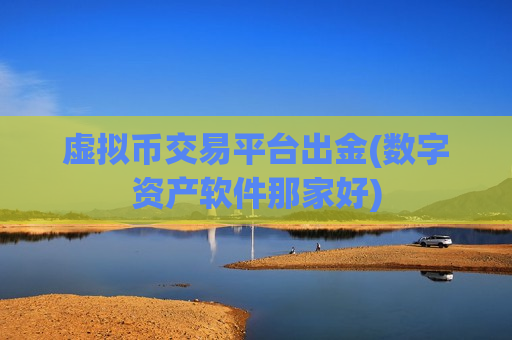虚拟币交易平台出金(数字资产软件那家好)