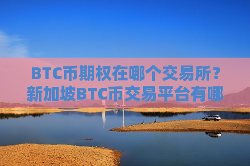 BTC币期权在哪个交易所？新加坡BTC币交易平台有哪些