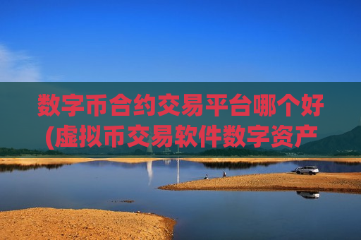 数字币合约交易平台哪个好(虚拟币交易软件数字资产交易平台)