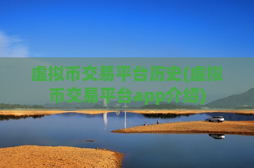 虚拟币交易平台历史(虚拟币交易平台app介绍)