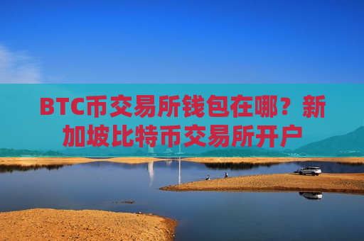 BTC币交易所钱包在哪？新加坡比特币交易所开户