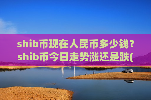 shib币现在人民币多少钱？shib币今日走势涨还是跌(现价0.00018768元)