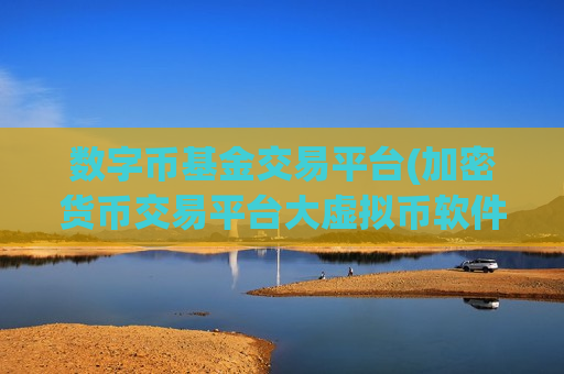 数字币基金交易平台(加密货币交易平台大虚拟币软件)