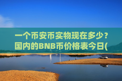 一个币安币实物现在多少？国内的BNB币价格表今日(现价5211.9元)