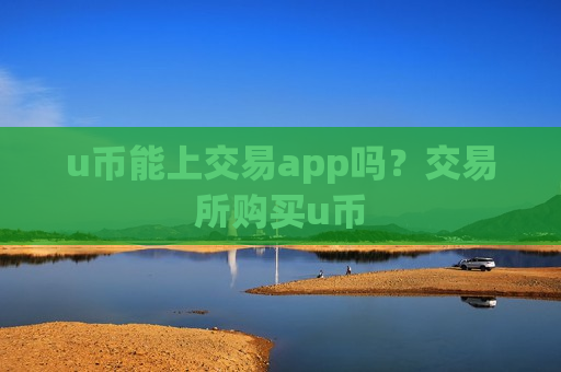 u币能上交易app吗？交易所购买u币