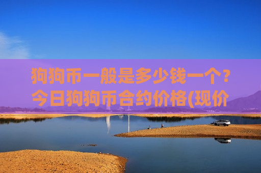 狗狗币一般是多少钱一个？今日狗狗币合约价格(现价2.8093元)