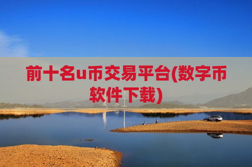 前十名u币交易平台(数字币软件下载)