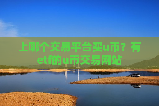 上哪个交易平台买u币？有etf的u币交易网站