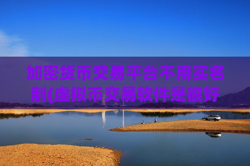 加密货币交易平台不用实名制(虚拟币交易软件是很好的选择)