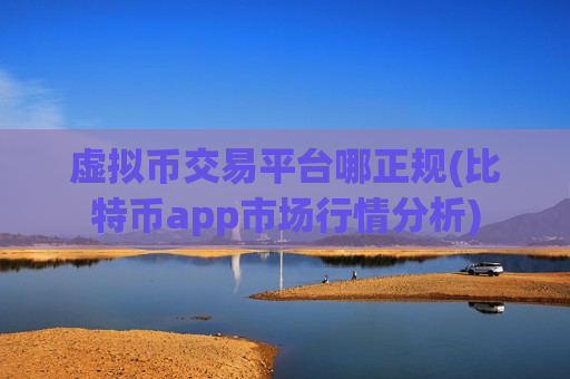 虚拟币交易平台哪正规(比特币app市场行情分析)