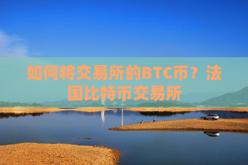 如何将交易所的BTC币？法国比特币交易所