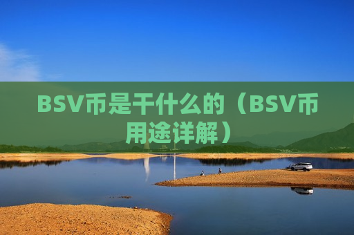 BSV币是干什么的（BSV币用途详解）