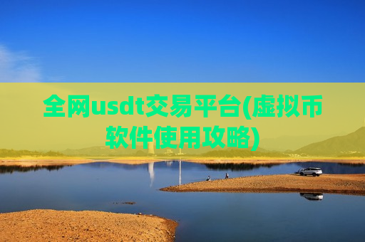 全网usdt交易平台(虚拟币软件使用攻略)