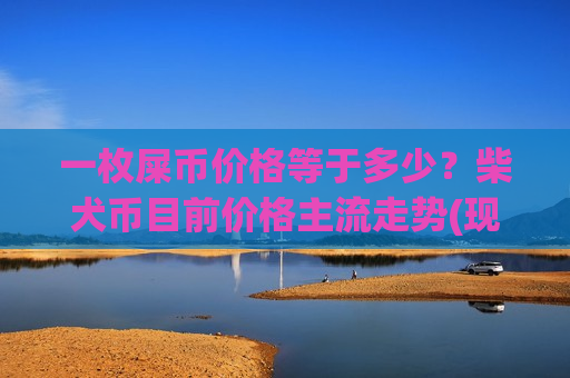 一枚屎币价格等于多少？柴犬币目前价格主流走势(现价0.00018567元)