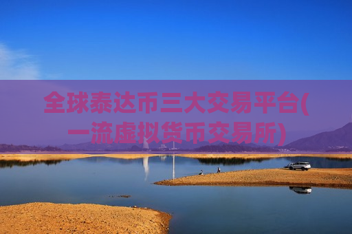 全球泰达币三大交易平台(一流虚拟货币交易所)