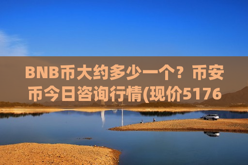 BNB币大约多少一个？币安币今日咨询行情(现价5176.4元)