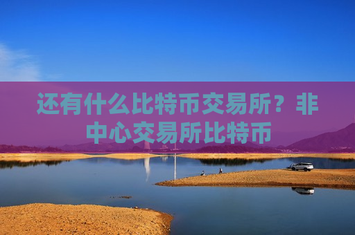 还有什么比特币交易所?非中心交易所比特币 还有什么比特币交易所?非中心交易所比特币