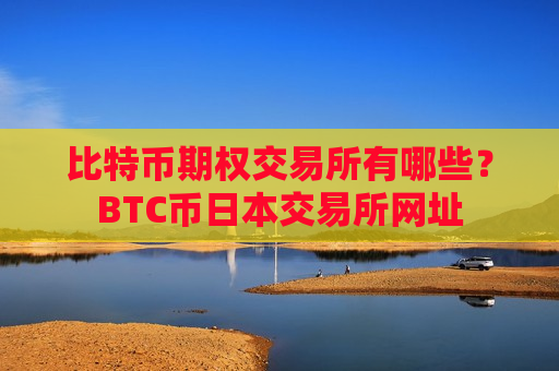 比特币期权交易所有哪些？BTC币日本交易所网址