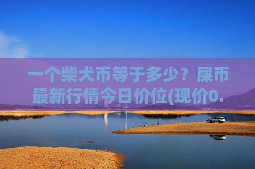 一个柴犬币等于多少？屎币最新行情今日价位(现价0.00017833元)