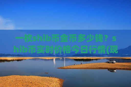 一枚shib币金币多少钱？shib币实时价格今日行情(现价0.00017741元)