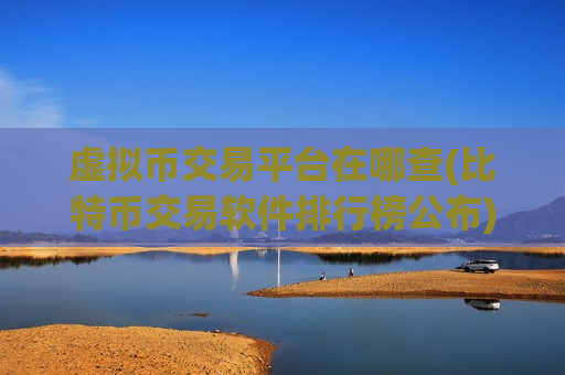 虚拟币交易平台在哪查(比特币交易软件排行榜公布)
