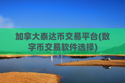 加拿大泰达币交易平台(数字币交易软件选择)