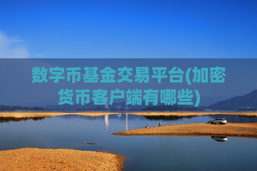 数字币基金交易平台(加密货币客户端有哪些)