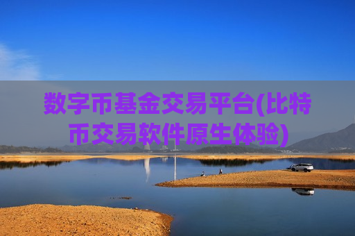 数字币基金交易平台(比特币交易软件原生体验)