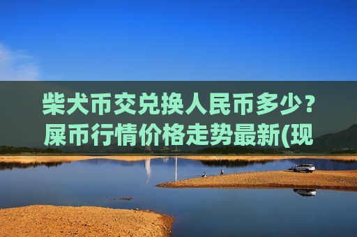 柴犬币交兑换人民币多少？屎币行情价格走势最新(现价0.00017648元)