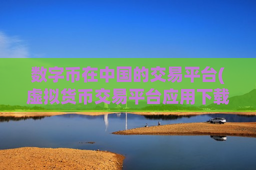 数字币在中国的交易平台(虚拟货币交易平台应用下载)