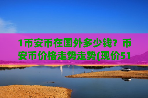 1币安币在国外多少钱？币安币价格走势走势(现价5115.3元)