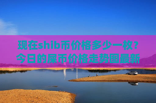 现在shib币价格多少一枚？今日的屎币价格走势图最新(现价0.00017535元)