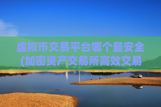 虚拟币交易平台哪个最安全(加密资产交易所高效交易)