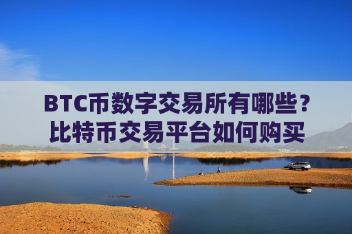 BTC币数字交易所有哪些？比特币交易平台如何购买