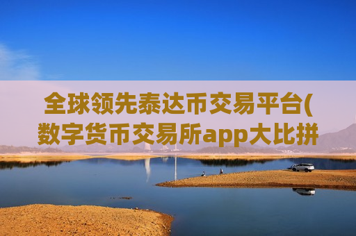 全球领先泰达币交易平台(数字货币交易所app大比拼)