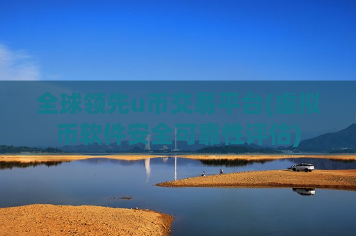 全球领先u币交易平台(虚拟币软件安全可靠性评估)