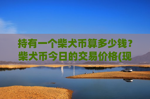 持有一个柴犬币算多少钱？柴犬币今日的交易价格(现价0.00018868元)