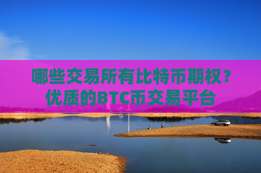 哪些交易所有比特币期权？优质的BTC币交易平台