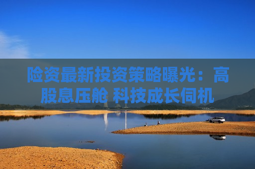 险资最新投资策略曝光：高股息压舱 科技成长伺机