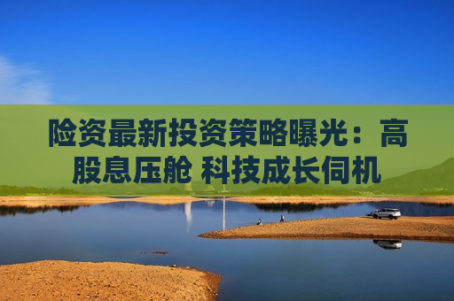 险资最新投资策略曝光：高股息压舱 科技成长伺机