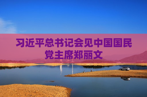 习近平总书记会见中国国民党主席郑丽文
