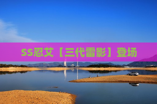 SS忍艾［三代雷影］登场