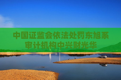 中国证监会依法处罚东旭系审计机构中兴财光华