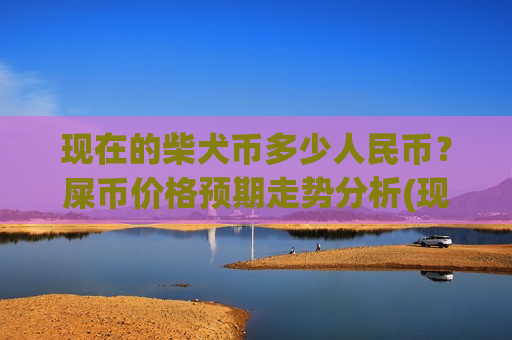 现在的柴犬币多少人民币？屎币价格预期走势分析(现价0.00019046元)