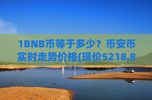1BNB币等于多少？币安币实时走势价格(现价5218.84元)